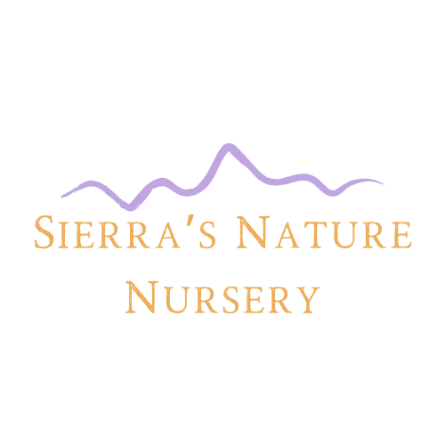 Sierra's Nature Nursery logo or business image